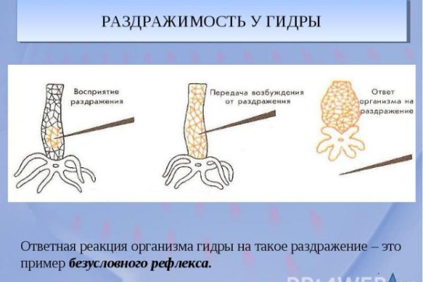 Кракен 2krnk cc