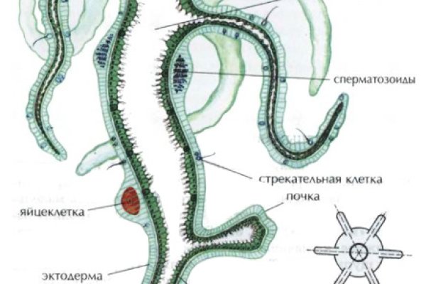 Маркетплейс кракен в россии