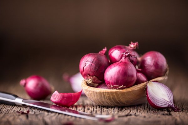 Kraken 16 onion